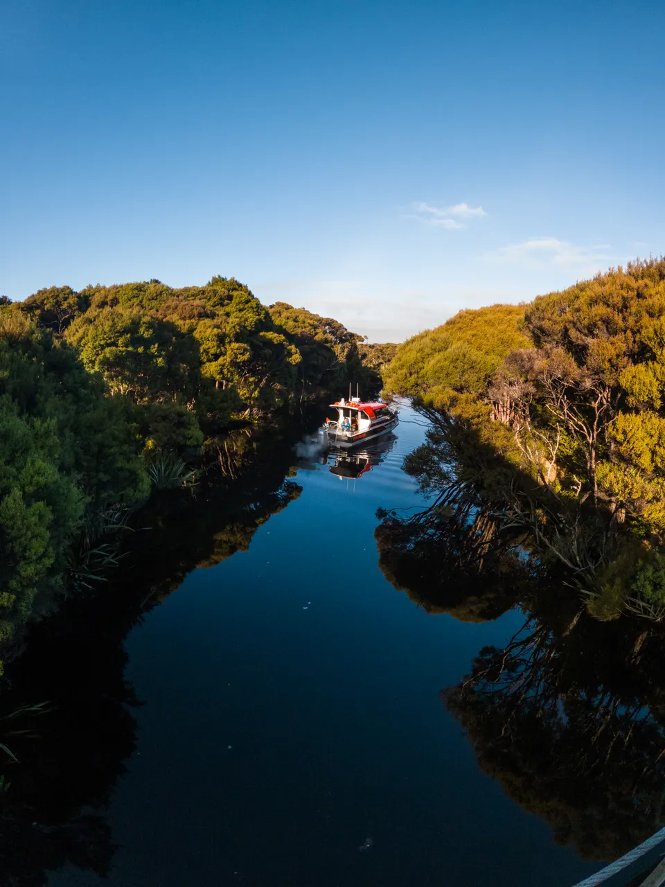 Rakiura Charters - Southland, New Zealand - Credit Great South (1)