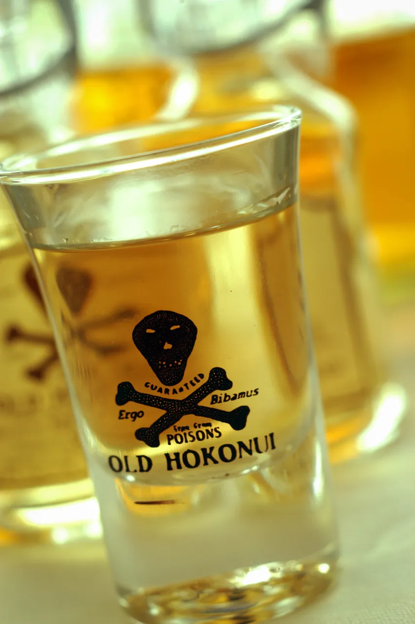 Hokonui Moonshine Festival - Southland, New Zealand - Credit Great South (4)