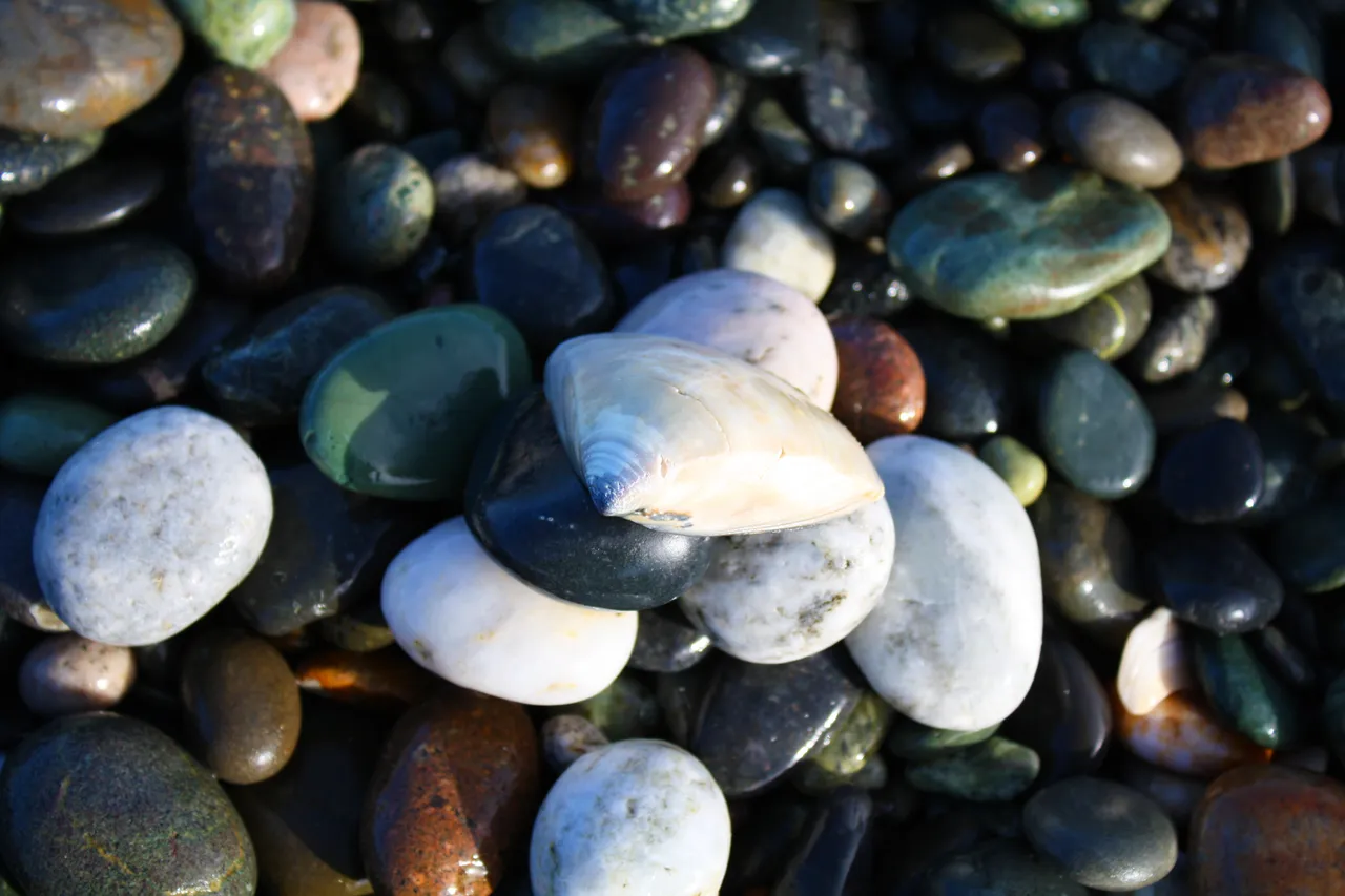 Gemstone Beach - Southland, New Zealand - Credit Great South (3)