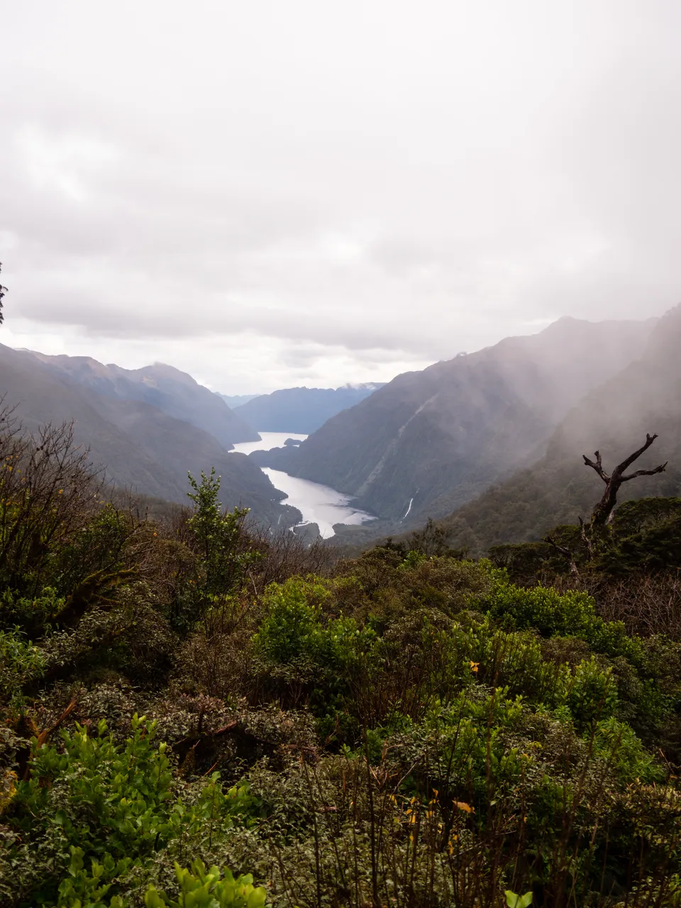 Doubtful Sound From Wilmot Pass - Southland, New Zealand - Credit Great South (5)
