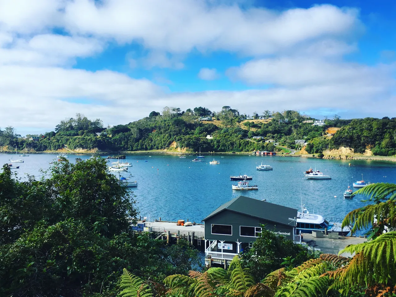 Halfmoon Bay - Southland, New Zealand - Credit Great South (1)