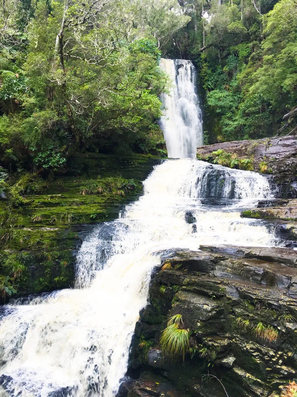 McLean Falls - Southland, New Zealand - Credit Great South (1)