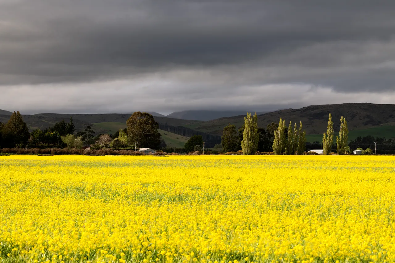 Lumsden Farm Aerial - Southland, New Zealand - Credit Chris McLennan (5)