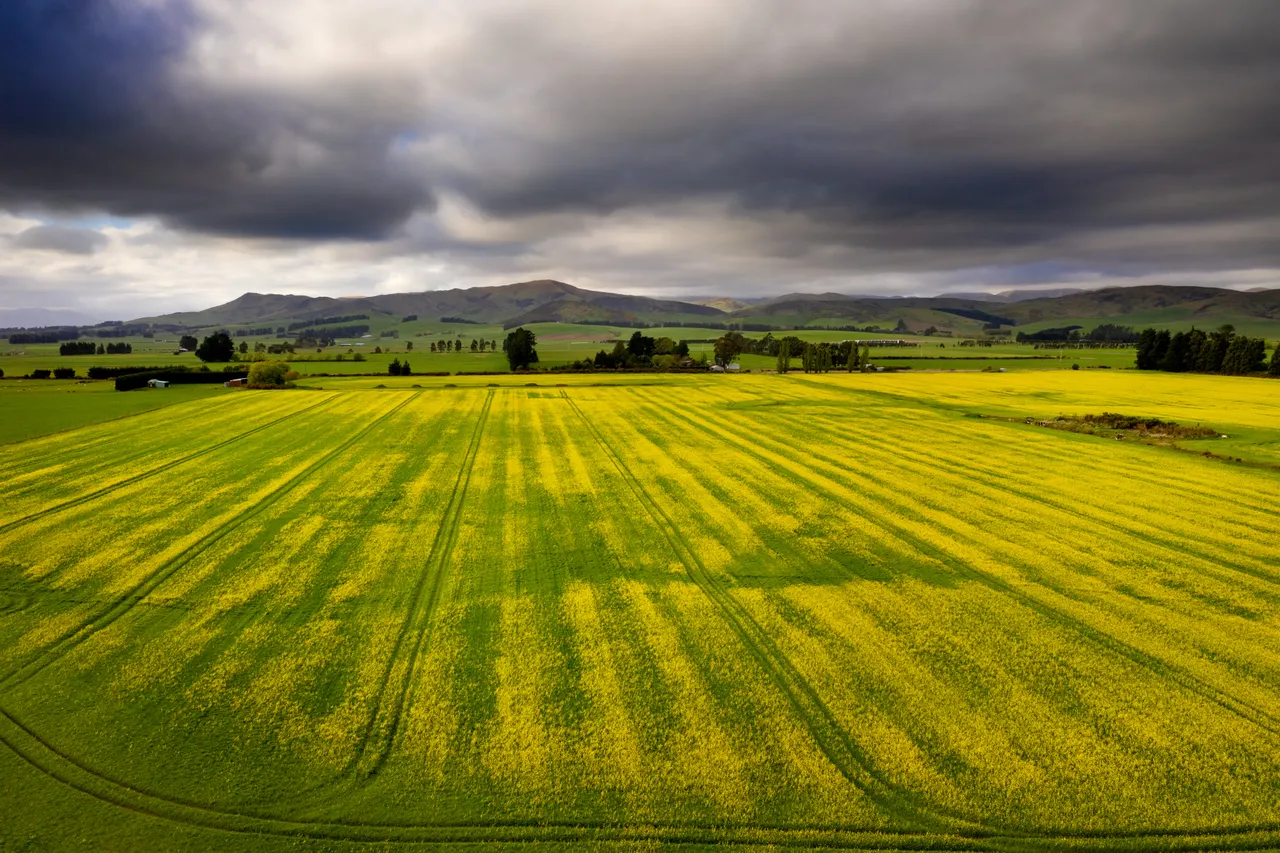 Lumsden Farm Aerial - Southland, New Zealand - Credit Chris McLennan (4)
