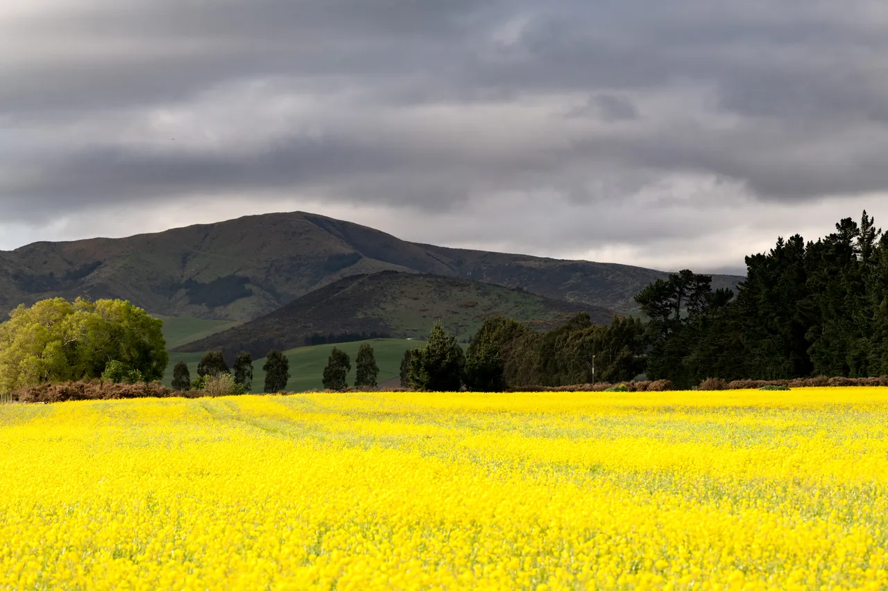 Lumsden Farm Aerial - Southland, New Zealand - Credit Chris McLennan (6)