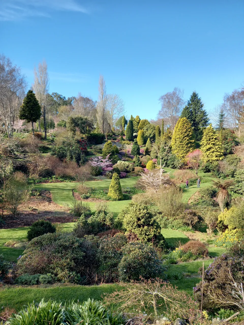 Maple Glen Gardens - Southland, New Zealand - Credit Great South (4)