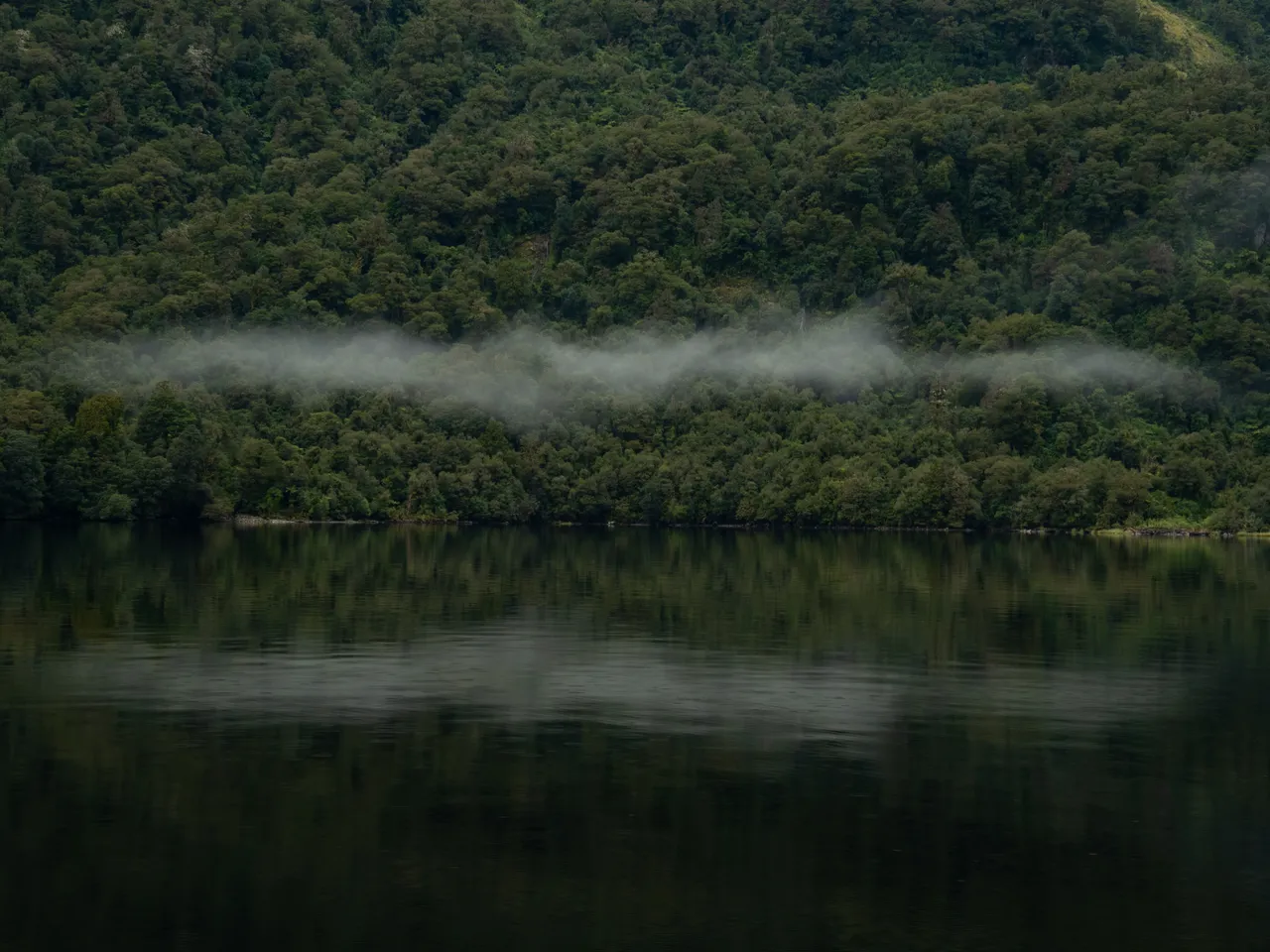 Doubtful Sound Cruise - Southland, New Zealand - Credit Great South (3)