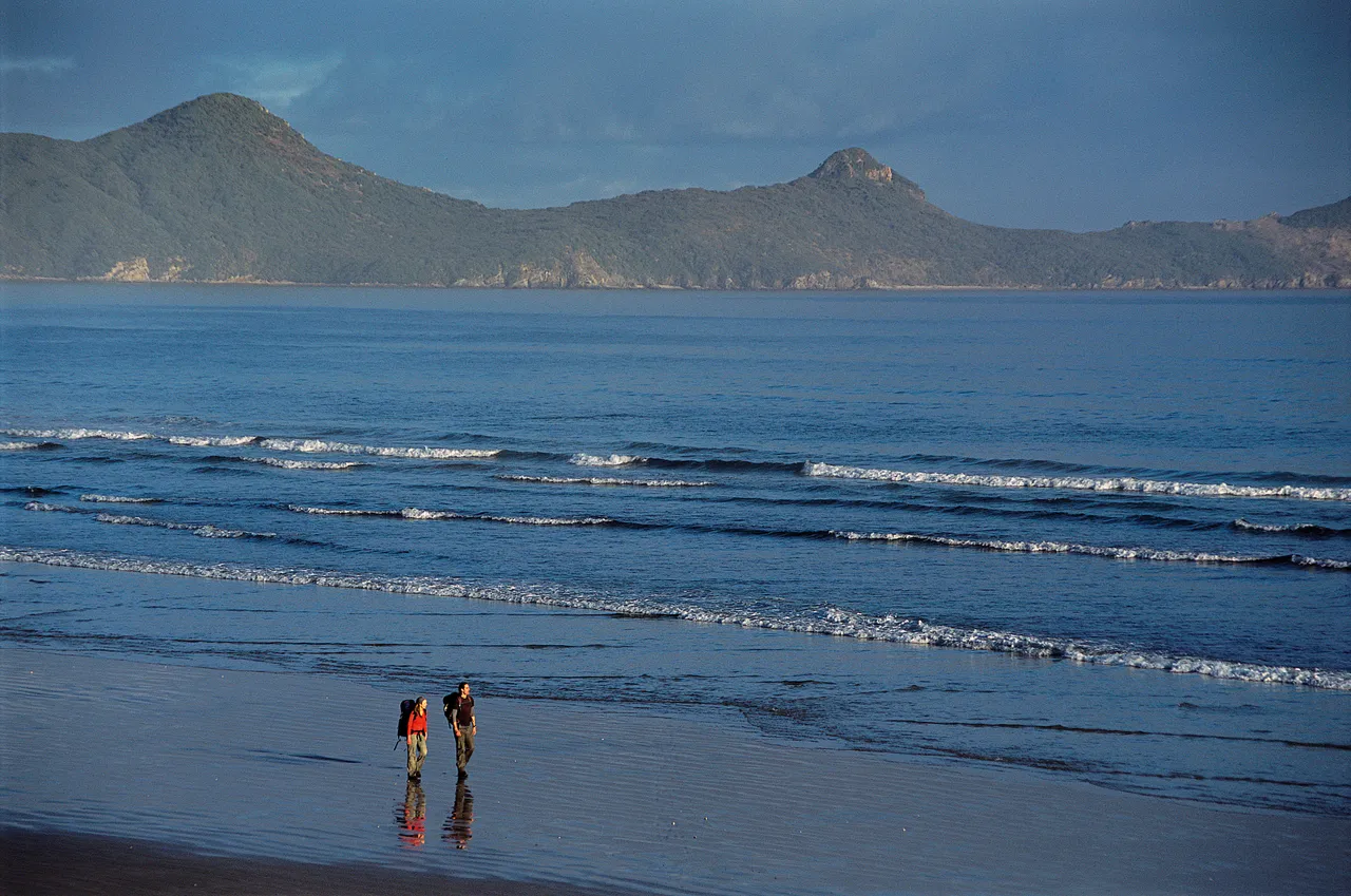 Mason Bay - Stewart Island - Southland, New Zealand - Credit Great South (11)