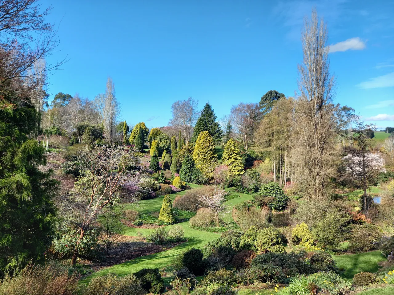 Maple Glen Gardens - Southland, New Zealand - Credit Great South (5)