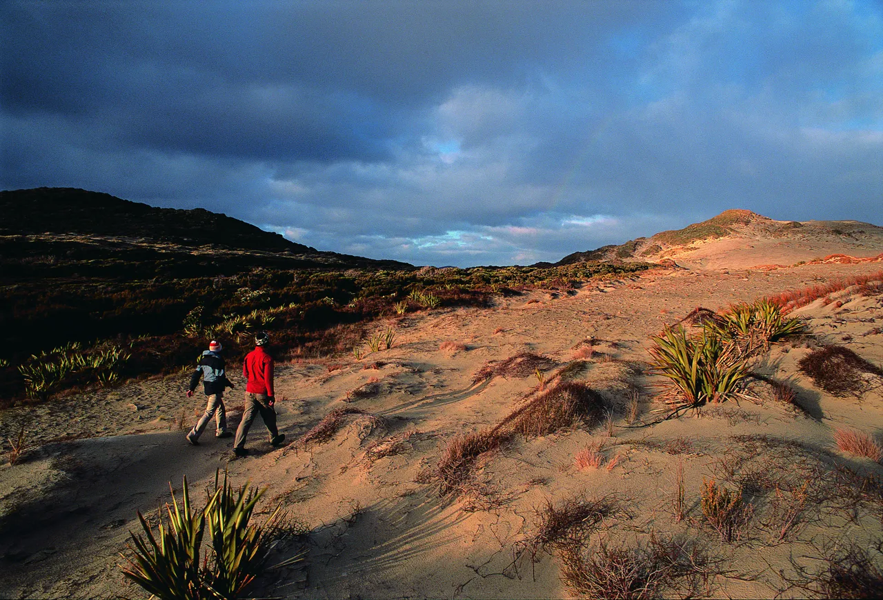 Mason Bay - Stewart Island - Southland, New Zealand - Credit Great South (2)