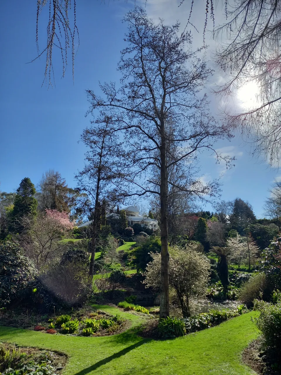 Maple Glen Gardens - Southland, New Zealand - Credit Great South (1)