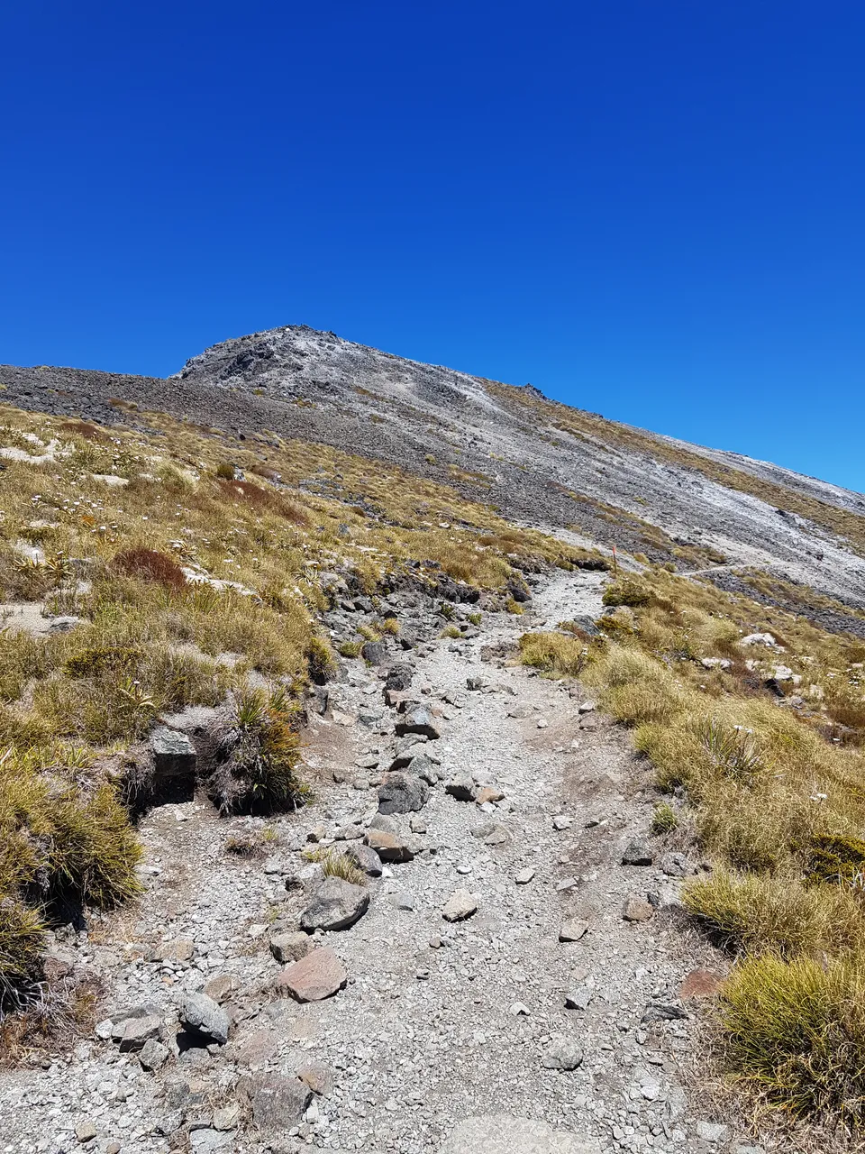 Mt Luxmore, Kepler Track - Southland, New Zealand - Credit Great South