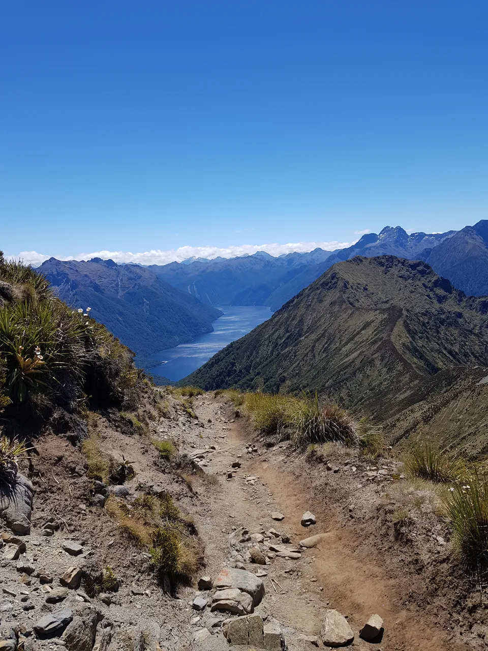 Kepler Track - Southland, New Zealand - Credit Great South (2)
