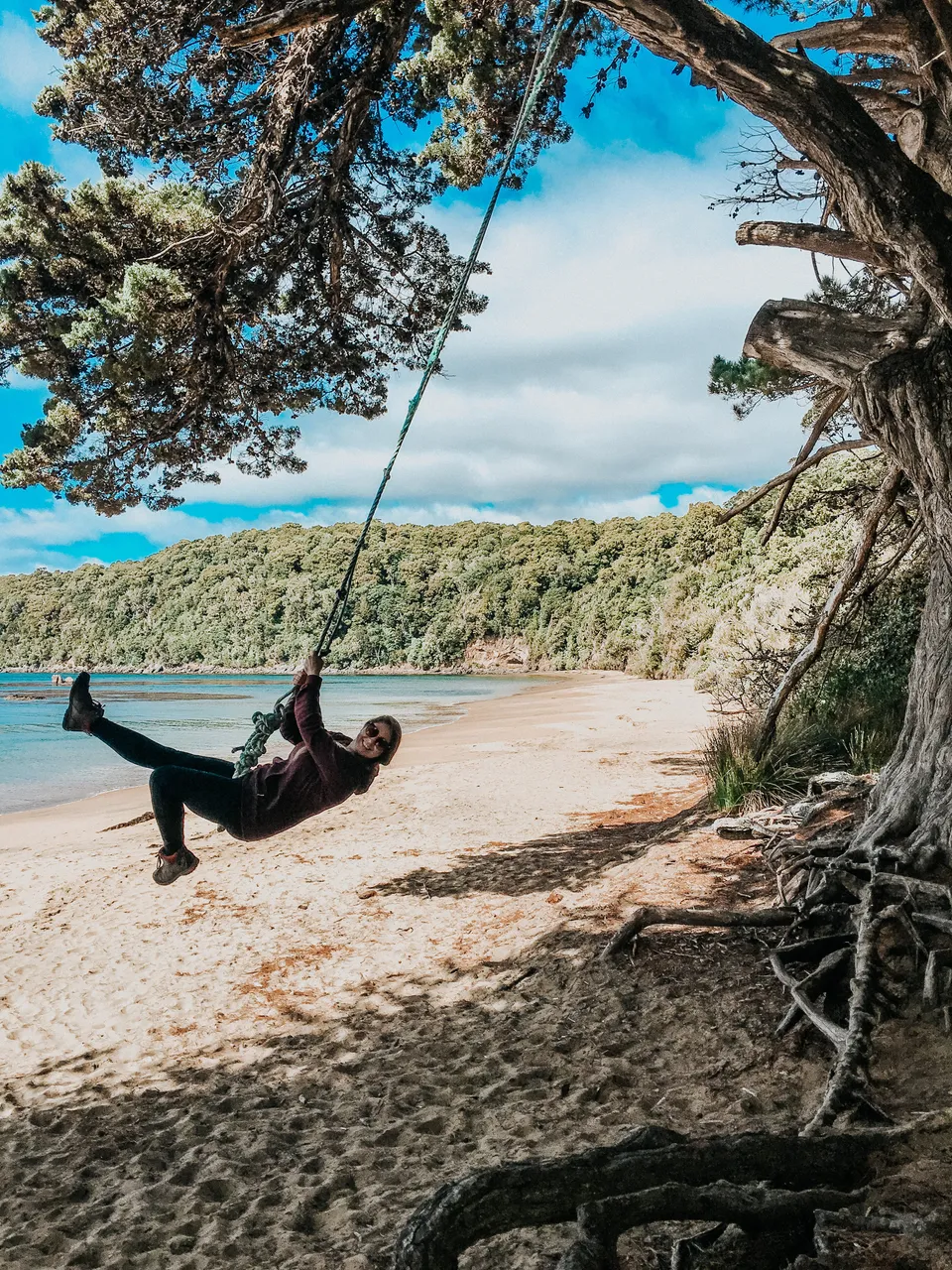 Sydney Cove Swing - Southand, New Zealand - Credit Great South