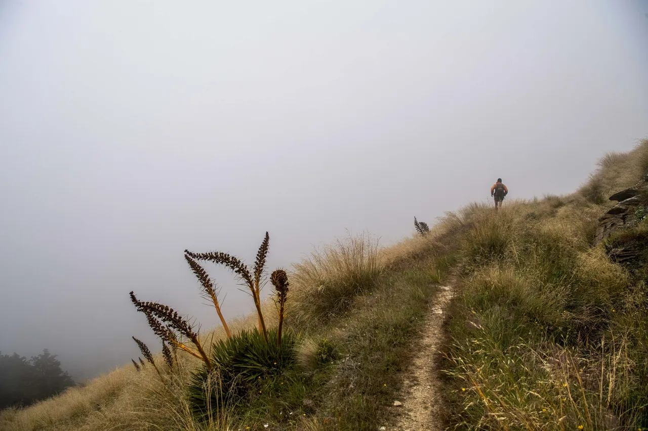 Revenant Ultra Adventure Run - Southland, New Zealand - Credit Sean Beale (7)