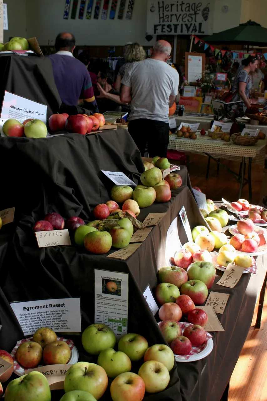 Riverton Heritage Harvest Festival - Southland, New Zealand - Credit Great South (3)