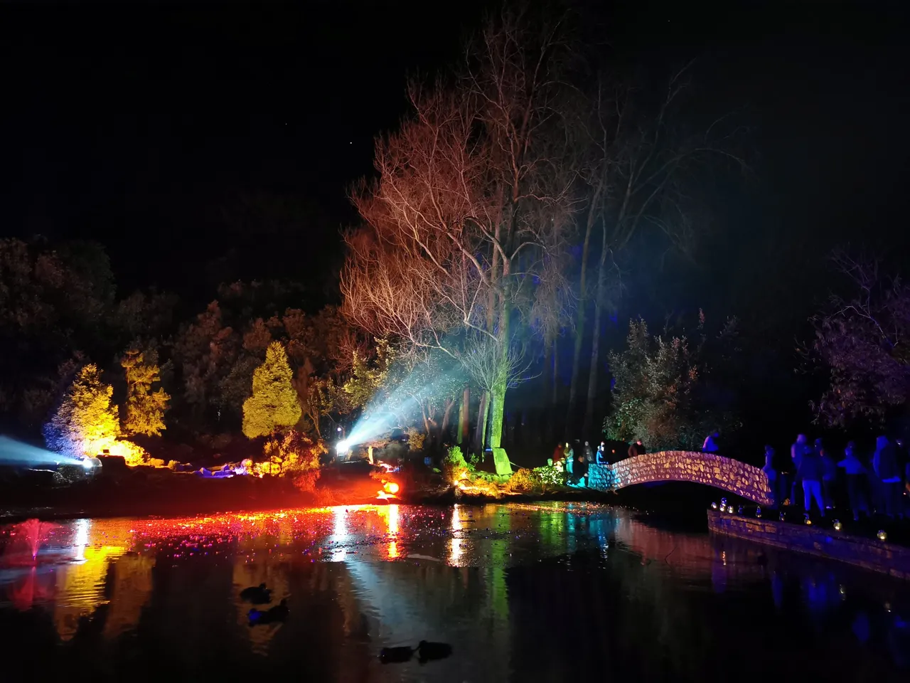 Matariki 2020 - Southland, New Zealand - Credit Great South (4)
