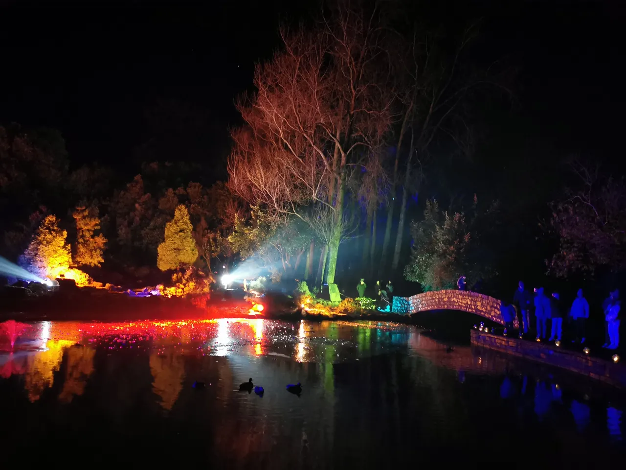 Matariki 2020 - Southland, New Zealand - Credit Great South (3)