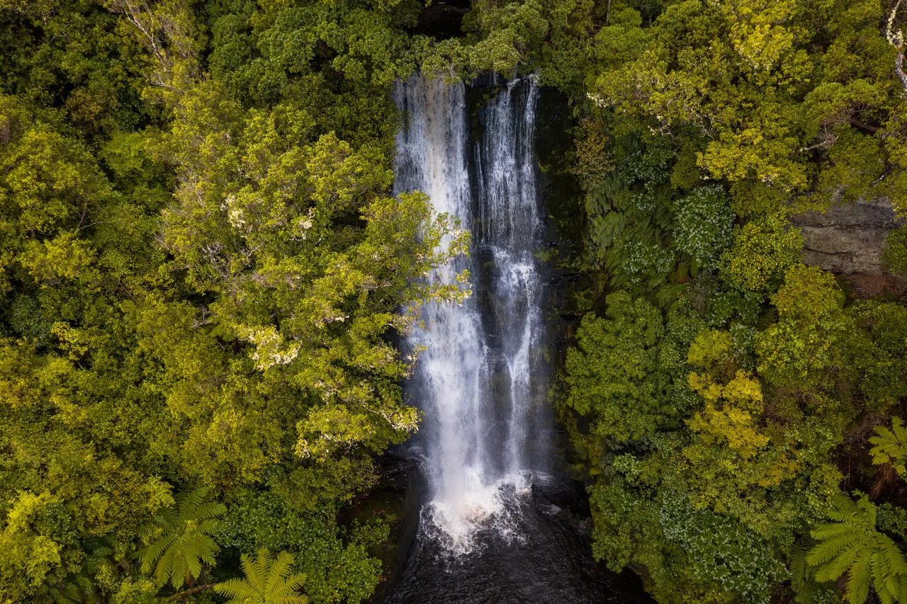 McLean Falls - Southland, New Zealand - Credit Great South (7)