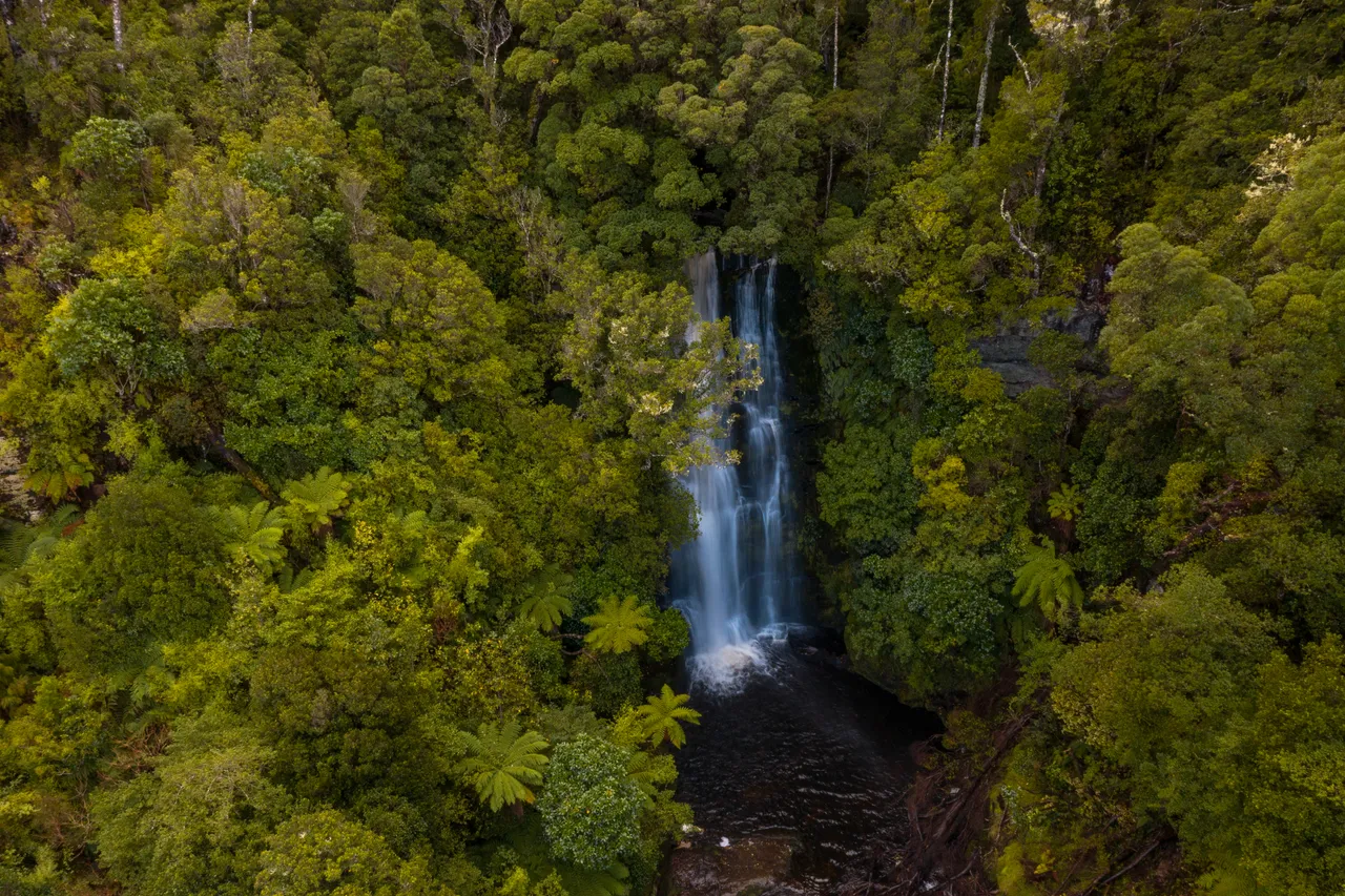 McLean Falls - Southland, New Zealand - Credit Great South (13)