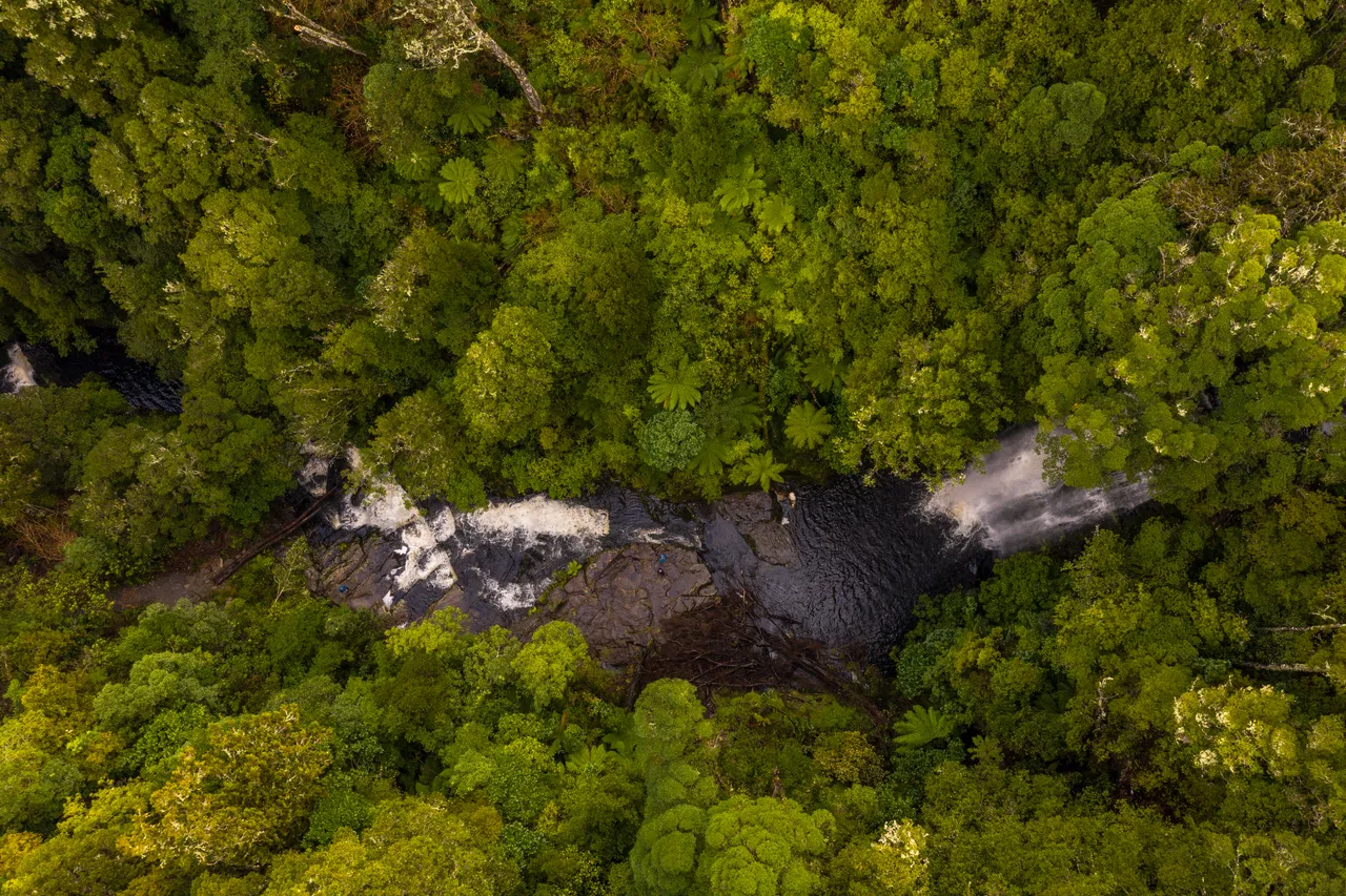 McLean Falls - Southland, New Zealand - Credit Great South (1)