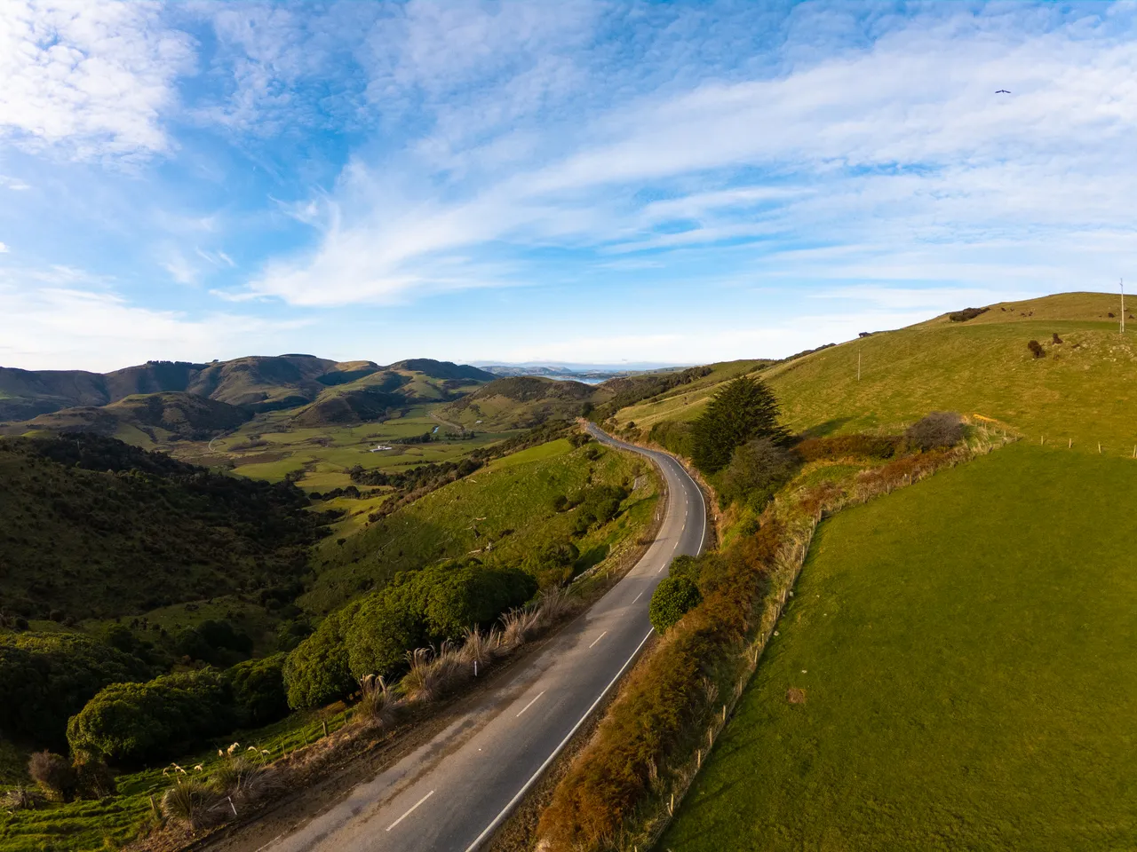 Catlins Road - Southland, New Zealand - Credit Great South (23)