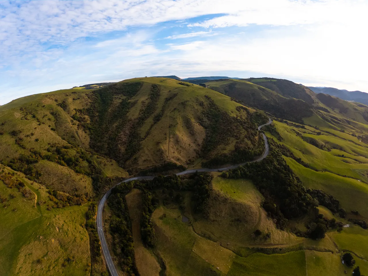 Catlins Road - Southland, New Zealand - Credit Great South (21)