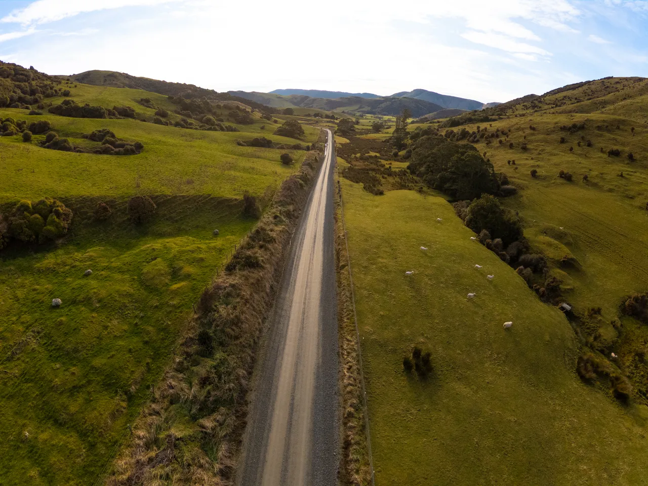 Catlins Road - Southland, New Zealand - Credit Great South (14)