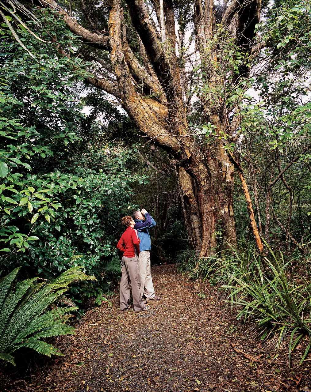 Ulva Island - Stewart Island - Southland, New Zealand - Credit Great South (7)