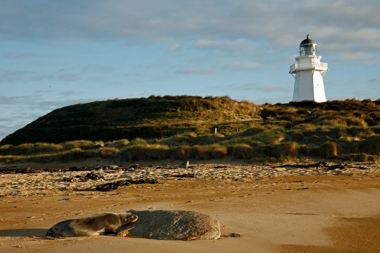 Waipapa Point - Southland, New Zealand - Credit Great South (9)