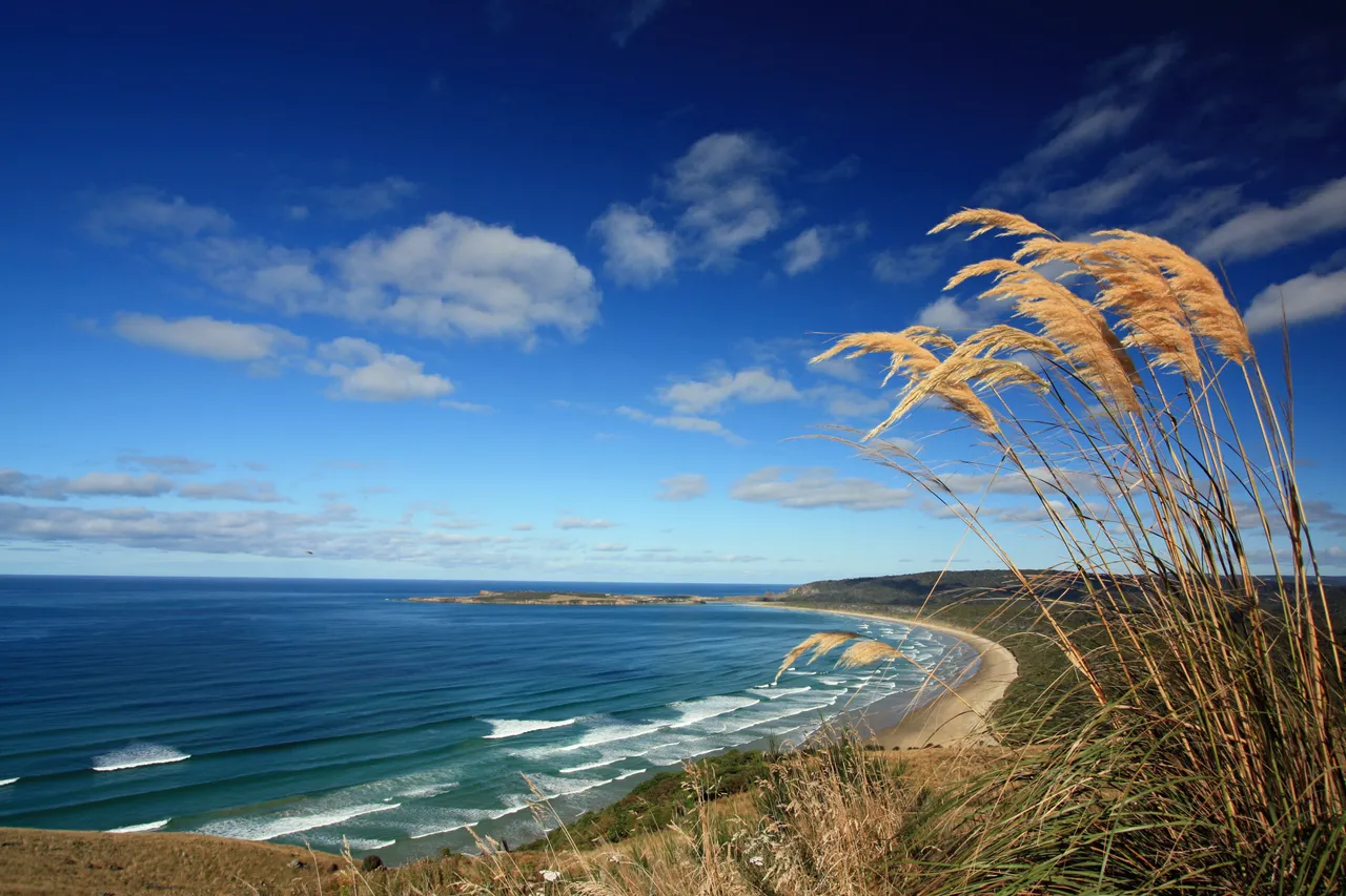 Florence Hill Lookout - Southland, New Zealand - Credit Great South (3)
