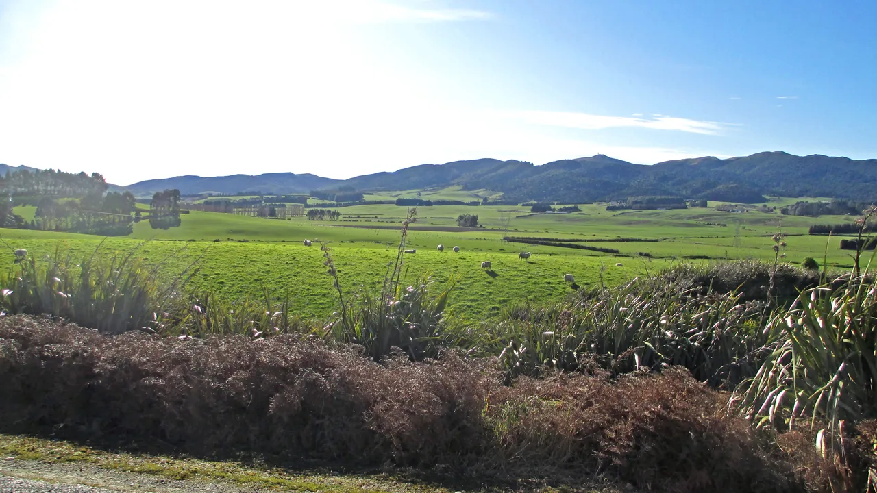 Eastern Southland - Southland, New Zealand - Credit Great South