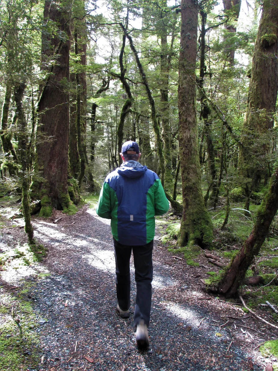 Lake Gunn - Southland, New Zealand - Credit Great South (3)