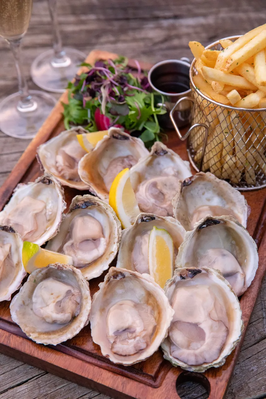 Oyster Cove - Southland, New Zealand - Credit Air New Zealand (7)