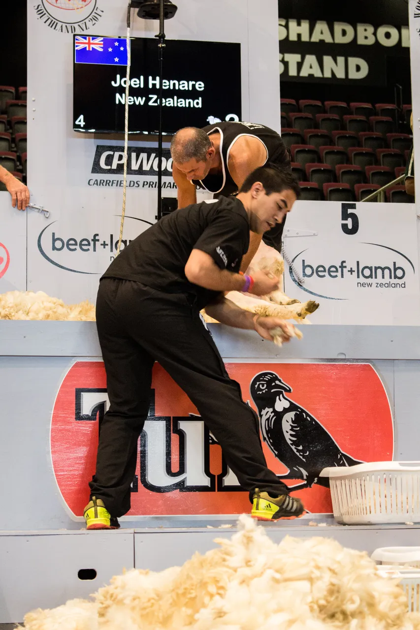 World Shearing & Wool Handling Championships 2017 - Southland, New Zealand - Credit Great South (47)