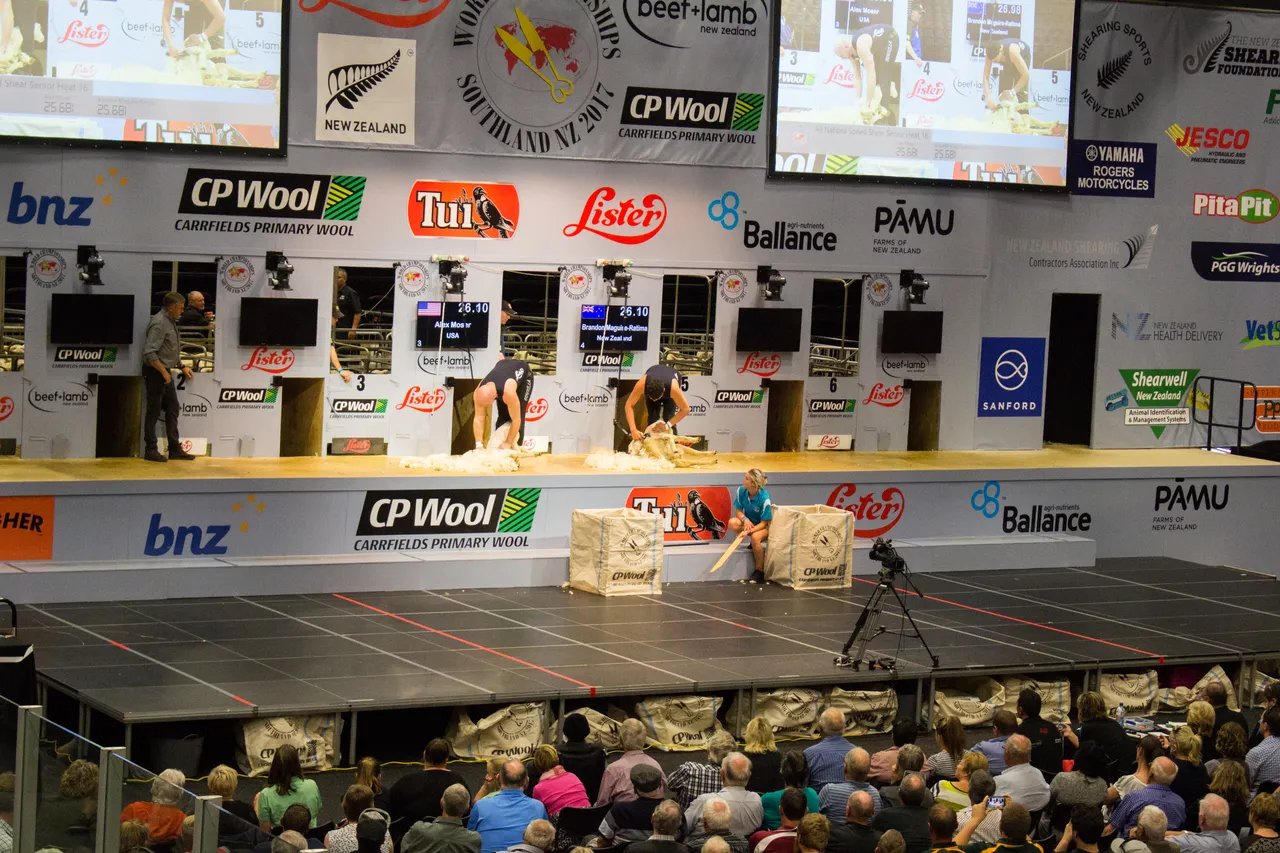 World Shearing & Wool Handling Championships 2017 - Southland, New Zealand - Credit Great South (62)