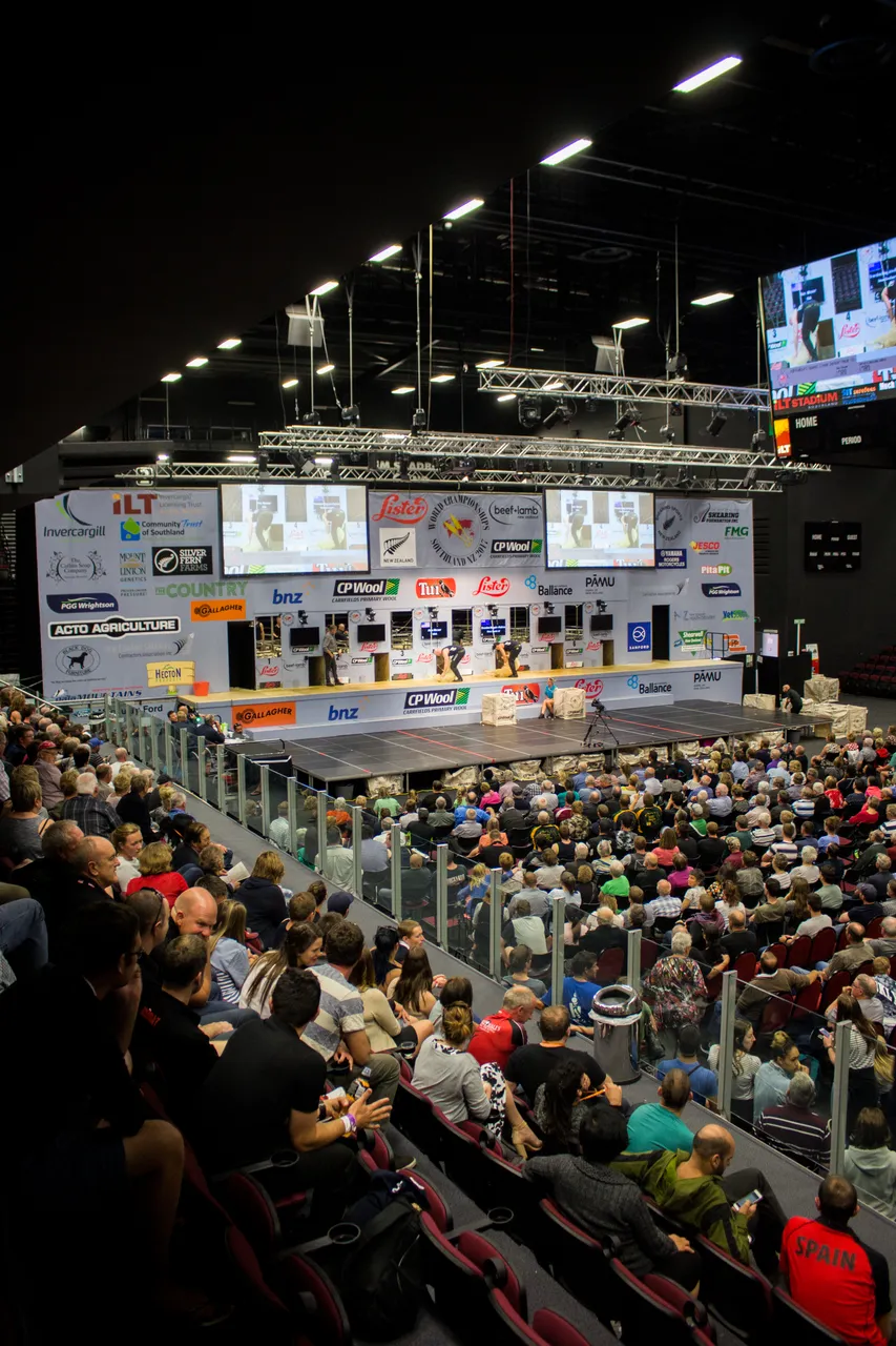 World Shearing & Wool Handling Championships 2017 - Southland, New Zealand - Credit Great South (60)