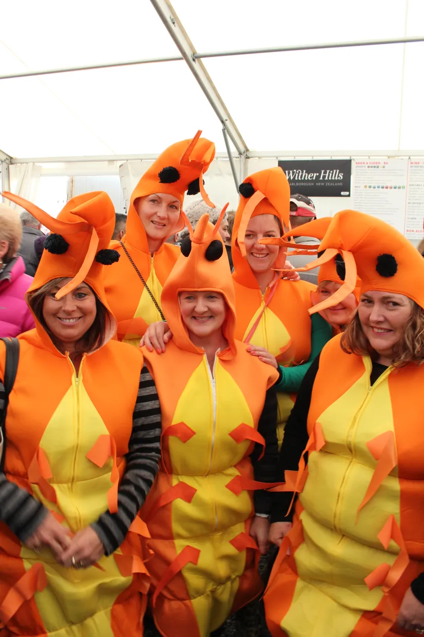 Bluff Oyster Festival 2016 - Southland, New Zealand - Credit Great South (1)