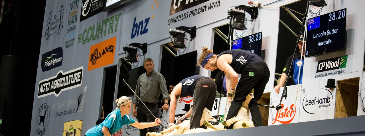World Shearing & Wool Handling Championships 2017 - Southland, New Zealand - Credit Great South (54)