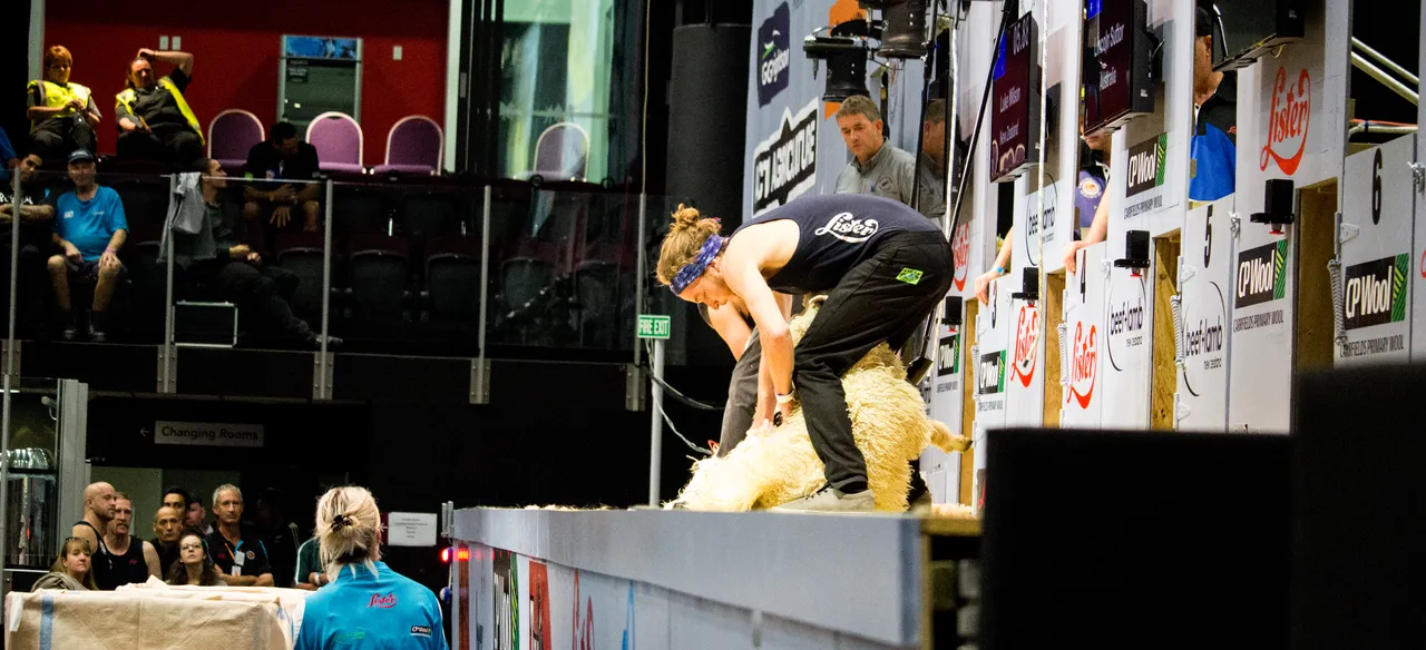 World Shearing & Wool Handling Championships 2017 - Southland, New Zealand - Credit Great South (53)