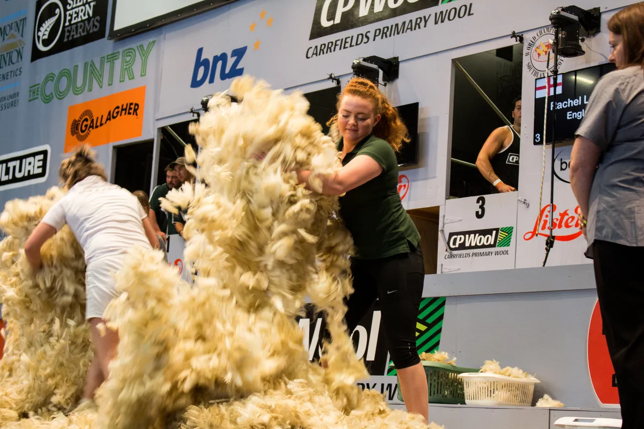 World Shearing & Wool Handling Championships 2017 - Southland, New Zealand - Credit Great South (48)