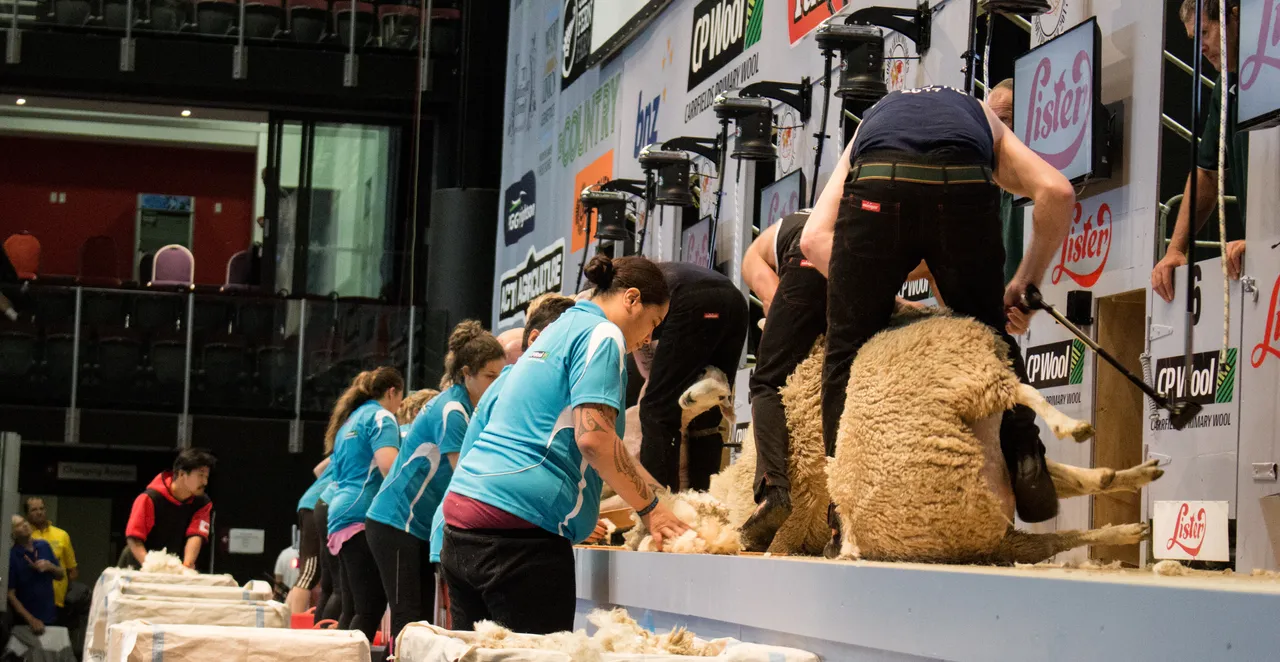 World Shearing & Wool Handling Championships 2017 - Southland, New Zealand - Credit Great South (43)