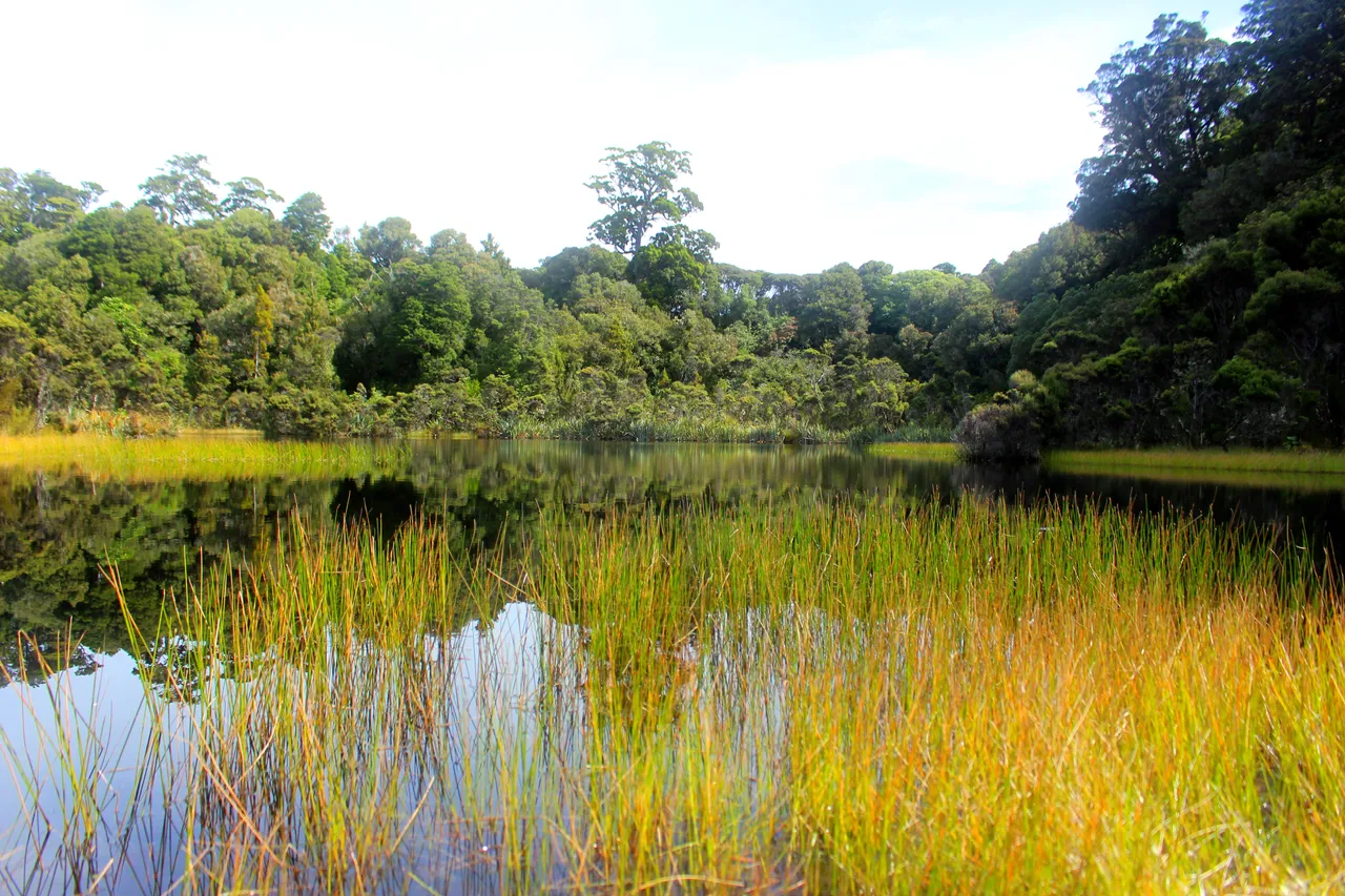 Lake Wilkie - Southland, New Zealand - Credit Great South (2)