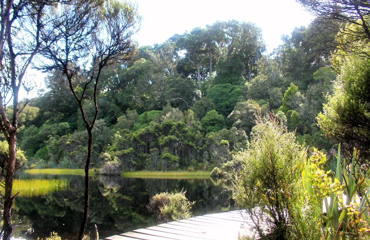Lake Wilkie - Southland, New Zealand - Credit Great South (3)
