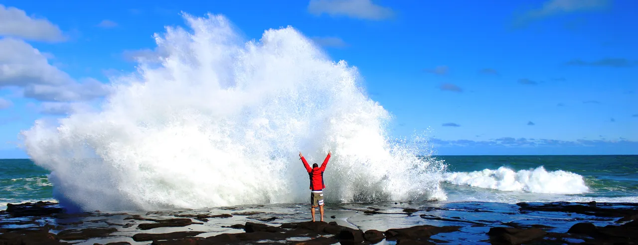 Curio Bay - Southland, New Zealand - Credit Great South (1)