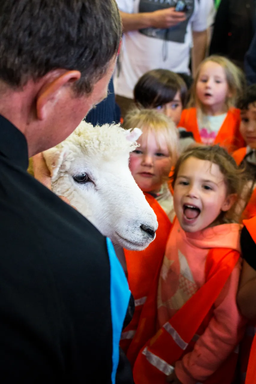World Shearing & Wool Handling Championships 2017 - Southland, New Zealand - Credit Great South (36)