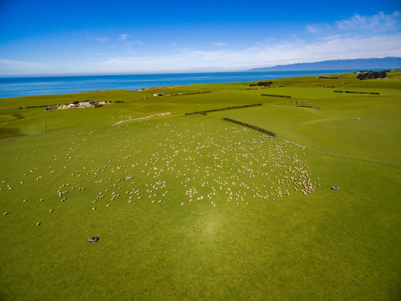 Sheep Farm - Southland, New Zealand - Credit Videocopter (18)
