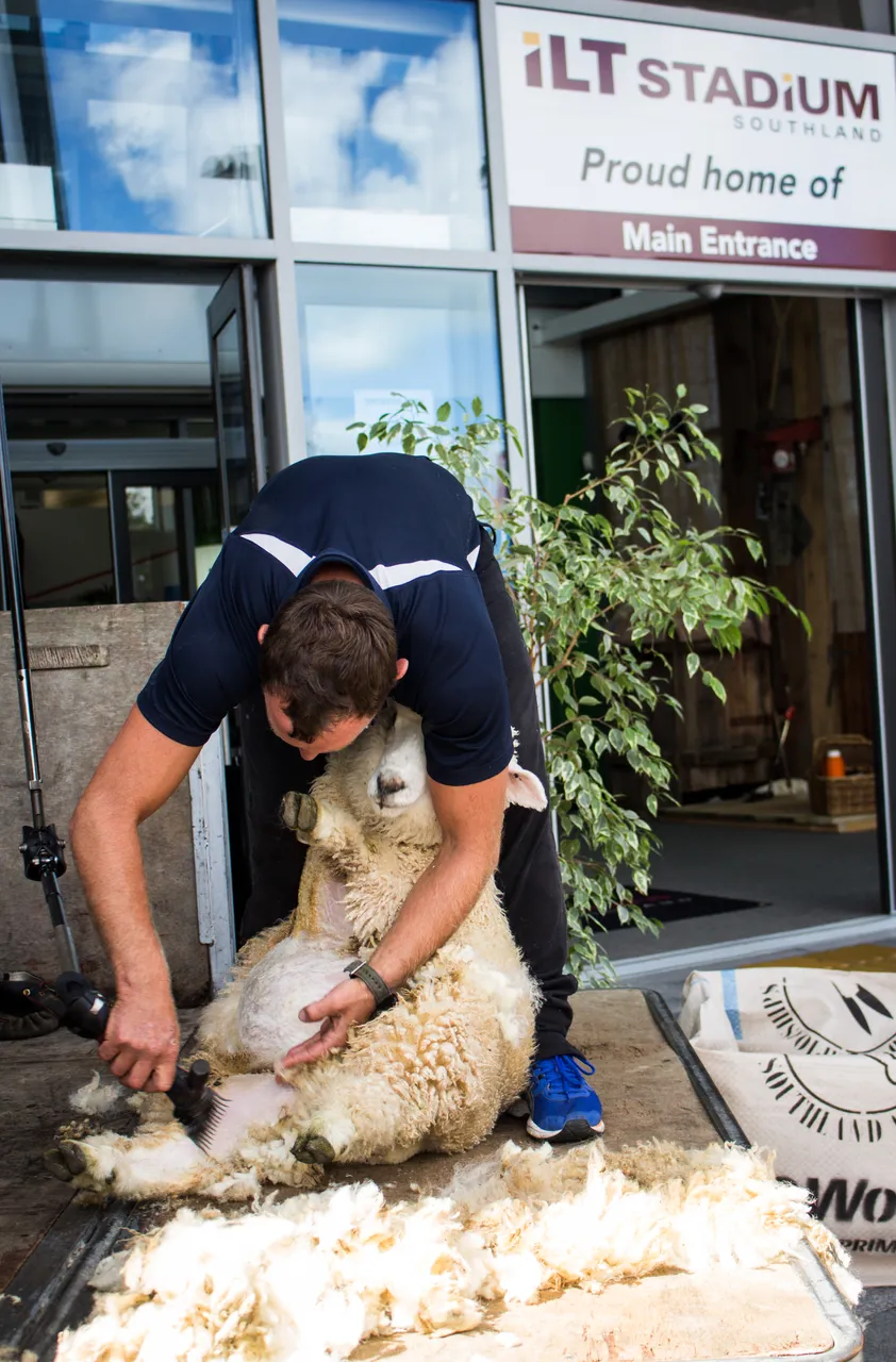 World Shearing & Wool Handling Championships 2017 - Southland, New Zealand - Credit Great South (33)