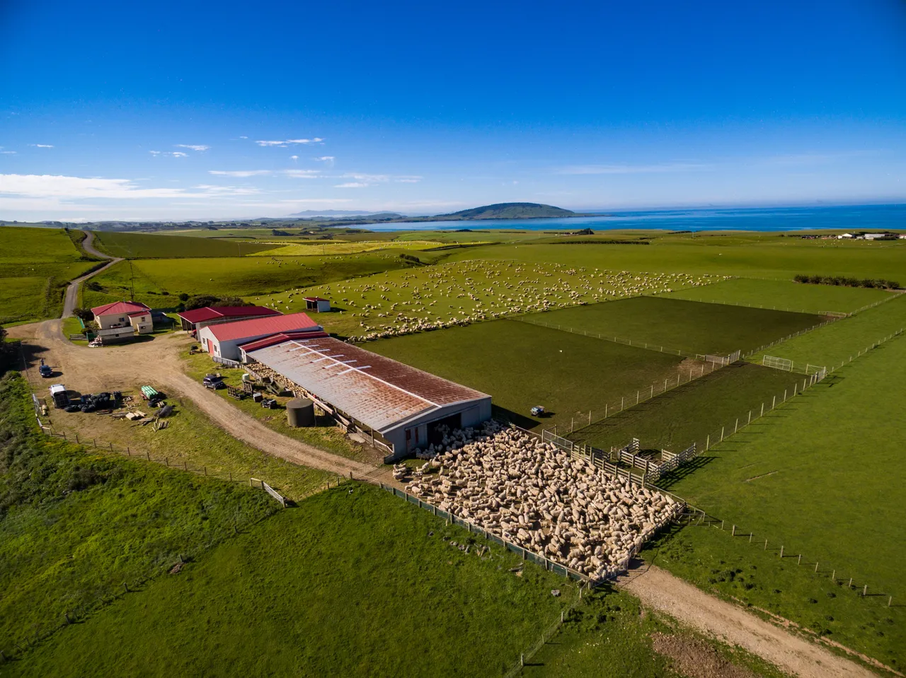 Sheep Farm - Southland, New Zealand - Credit Videocopter (13)