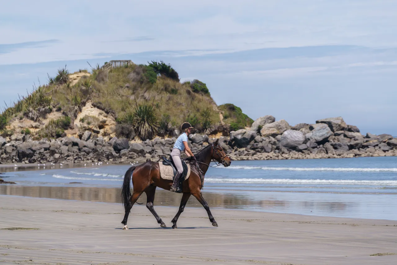 Horse Riding - Monkey Island Beach - Southland, New Zealand - Credit Videocopter (16)